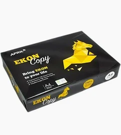 RISMA "EKON COPY"